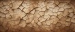 Dry, cracked earth during a drought's beginning