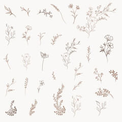 Wall Mural - Set of vector simple  lined  florals for design