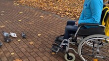 Disabled Woman Feeding Pigeons While Sitting In Wheelchair And Distributing Bread To Birds In Park