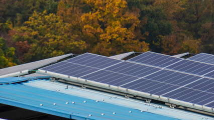 solar panels and trees natural scenery,green energy concept