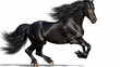 black friesian horse isolated on white background. Generative AI