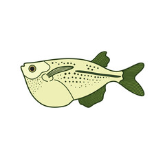 Wall Mural - Cartoon Vector illustration hatchetfish icon Isolated on White Background
