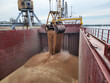 © Eugene - Loading of wheat in bulk into the ship's cargo hold by steel grab