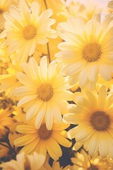 Poster - A yellow wild flowers background