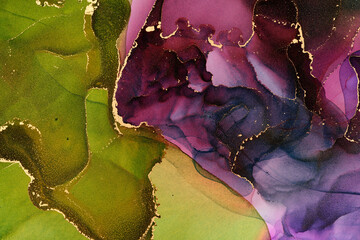 Natural  luxury abstract fluid art painting in alcohol ink technique. Tender and dreamy  wallpaper. Mixture of colors creating transparent waves and golden swirls. For posters, other printed materials