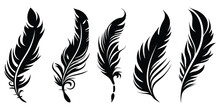 Bird Feather Black Silhouettes. Plumelet Collection. Vector Isolated On White