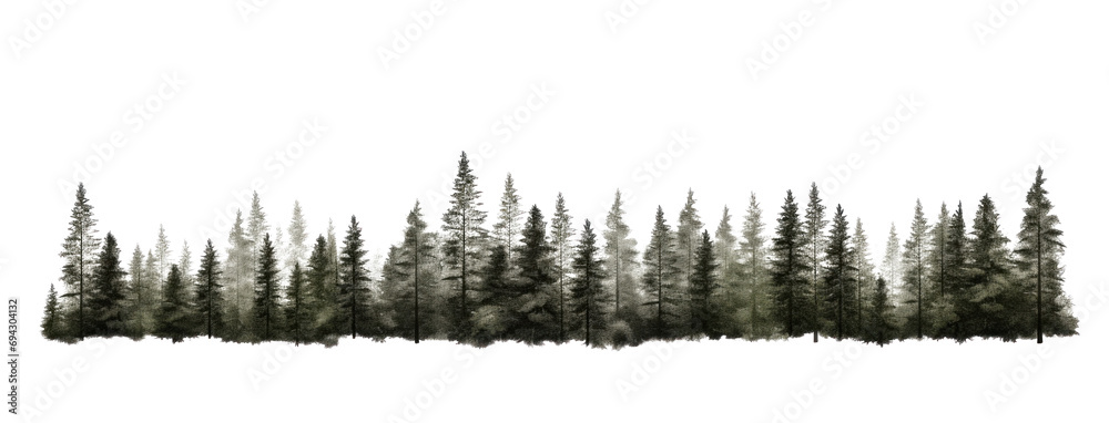 Transitional Tree Line Background Forest tree line isolated on transparent white background Stock ...