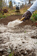 the gardener sprinkles a narrow bed with dolomite flour