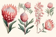  Abstract Clipart Of Protea Flower. Pink Protea. Set Of Exotic Flowers On A Creamy Background. For Wedding Invitation Cards Scrapbooking Posters Planners, Web, Landing Page, Generative AI 