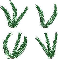 Wall Mural - green fir branches on a transparent background