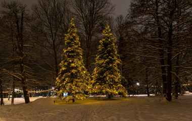 Wall Mural - Decorated christmas trees on the street