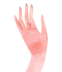 Wall Mural - Watercolor woman's hand. Hand-painted illustration isolated on a transparent background