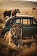 Animals on Safari, excursions to Africa.