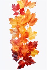 Poster - A close-up view of a bunch of leaves. This image can be used to add a natural touch to any design