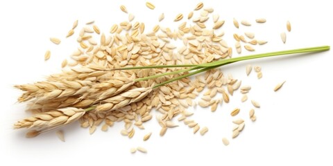 Poster - A stalk of wheat next to a pile of oats. This image can be used to represent agriculture, farming, or cereal production