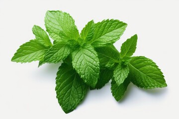 Wall Mural - A bunch of fresh mint leaves on a white surface. Perfect for adding a touch of freshness to food and beverages