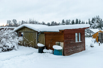 Wall Mural - garden in winter, covered with snow, fruit trees, garden house and garden accessories