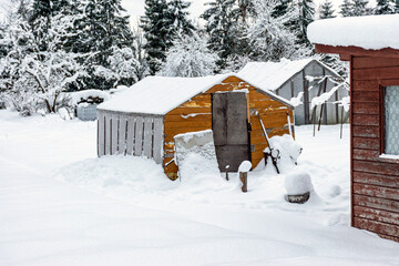 Wall Mural - garden in winter, covered with snow, fruit trees, garden house and garden accessories