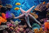 Fototapeta Do akwarium - A starfish among coral reefs, a mystery of the underwater world. amazing underwater world