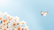 Minimalistischer Frühlingshintergrund mit einem weißen Schmetterling vor einem hellblauen Himmel und weißen Kirschblüten, mit Platz für Text. Frühlingserwachen