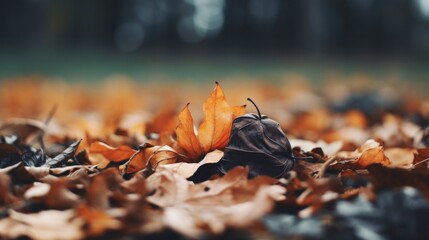 Sticker - A close up of a leaf on the ground with other leaves, AI