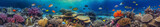 Fototapeta Do akwarium - Vibrant and expansive underwater coral reef panorama featuring a variety of marine life, including fish, turtles, sharks, creating a colorful and dynamic banner background.