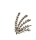 Fototapeta  - ears of wheat doodle art leaf