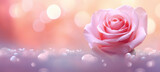 Fototapeta  - rosa de color rosa sobre superficie con pétalos rosas brillantes y fondo rosa dorado desenfocado