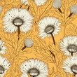 seamless pattern with dandelions, seamless floral background, dandelion background, vintage dandelion pattern, retro dandelion pattern