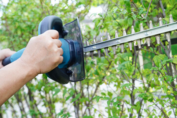 Gardener trimming bush by electric hedge clippers in garden. Hobby at home.