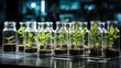 Macro shot of the plants with plant tissue culture technique in the lab