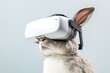 Rabbit lost in a virtual reality gaming experience