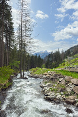 Wall Mural - mountain river in the Dolomites