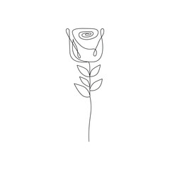 Poster - Continuous one line rose flower drawing and single  outline vector  art  illustration