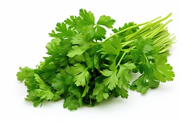 Wall Mural - Cilantro isolated on white background 