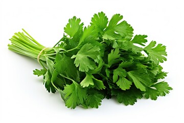 Wall Mural - Cilantro isolated on white background 