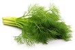  Dill isolated on white background
