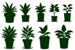 Set different potted houseplants silhouettes. Indoor flowers or plants in flower pots flat vector illustrations collection