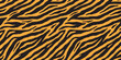 Tiger seamless repeated pattern. Vector background  print illustration.