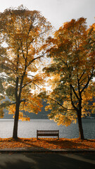 Wall Mural - Beautiful fall scenery in Zell am See, Austria with bench and golden foliage on a lake, Salzburg Land, Austria