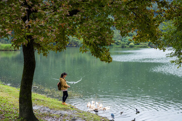 Wall Mural - Woman feed snack for the duck in the water pond