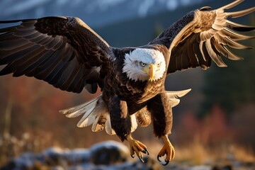 Stunning bald eagle in flight, Generative AI