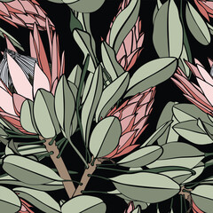 Wall Mural - Vintage african seamless pattern.Tropical flowers background. Banksia, protea line illustration.