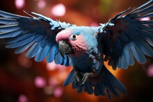 Closeup Of A Large Blue Parrot While Flying.