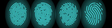 Set Of Vector Fingerprints Of Different Types. Personal Identification. Fingerprints Of Turquoise Colors On A Black Background. Stock Illustration EPS 10