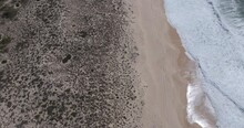 Aerial Drone Shot Of Sand Dunes, Beach, Tyre Tracks And Shoreline With Ocean Waves Breaking On Beach Near Comporta, Alentejo Coast, Portugal, Europe. Shot In 5k, ProRes 422HQ, Exported In ProRes