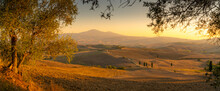 View of golden Tuscan landscape near Pienza, Pienza, Province of Siena, Tuscany