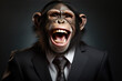 Professional Chimp Laughs With Dandruff, Exudes Intimidating Aura