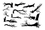 Fototapeta Dinusie - Broken tree isolated silhouettes. Black template of destroyed forest. Fallen wood. Branches and trunks after storm