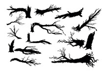 Broken Tree Isolated Silhouettes. Black Template Of Destroyed Forest. Fallen Wood. Branches And Trunks After Storm